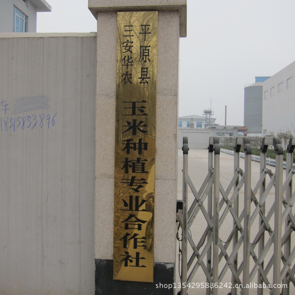 公司图片
