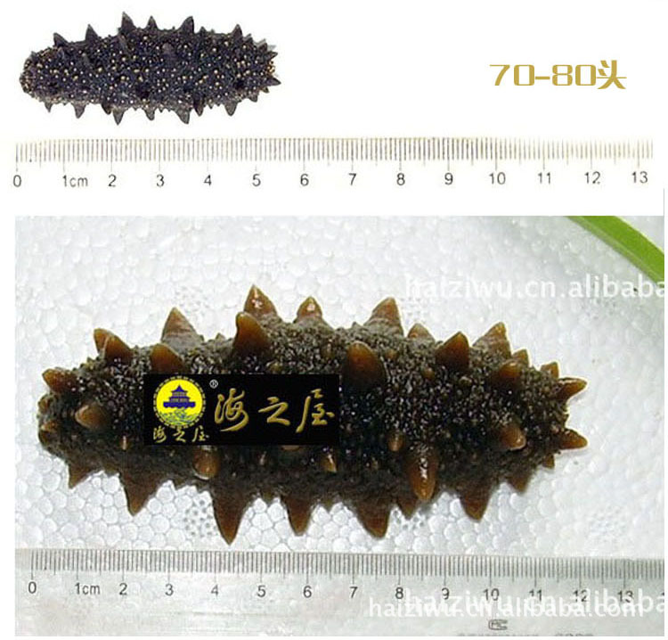 【厂家批发淡干海参,青岛厂家批发原淡干海参