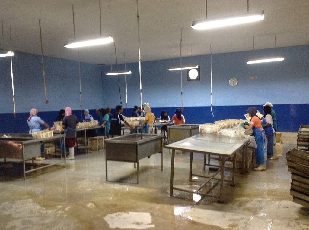 【华祥水产】冷冻海产 长期 剥皮鱼 冻剥皮鱼-