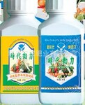 硅肥--时代伴侣