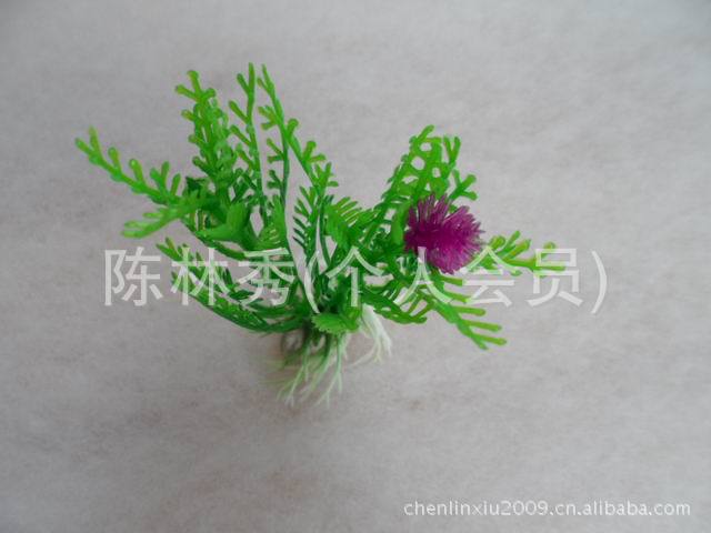 水草布景鱼缸图片,水草布景鱼缸图片大全,上海