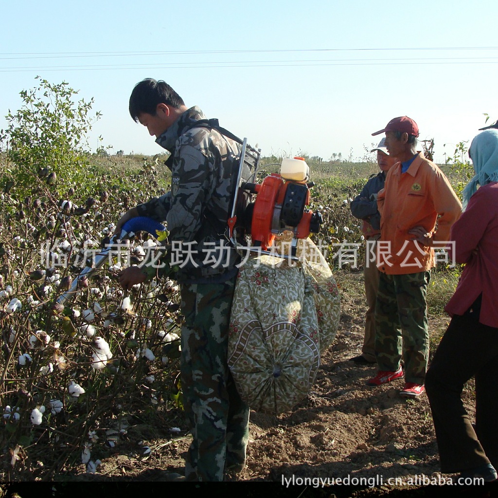 dsc02625采棉花_2345看图王