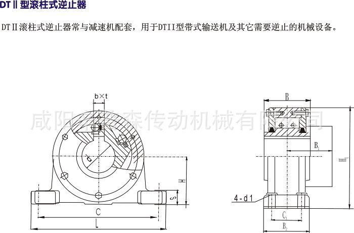 dtiin1型滚柱式逆止器