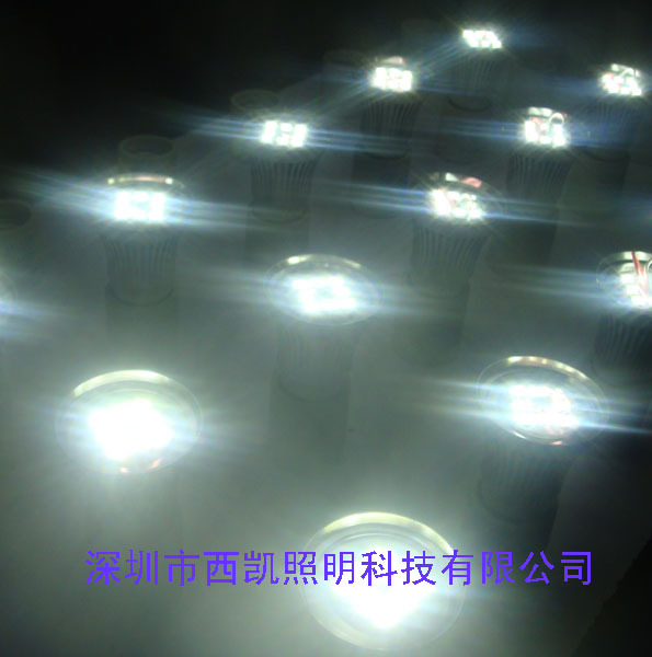 DSC06111