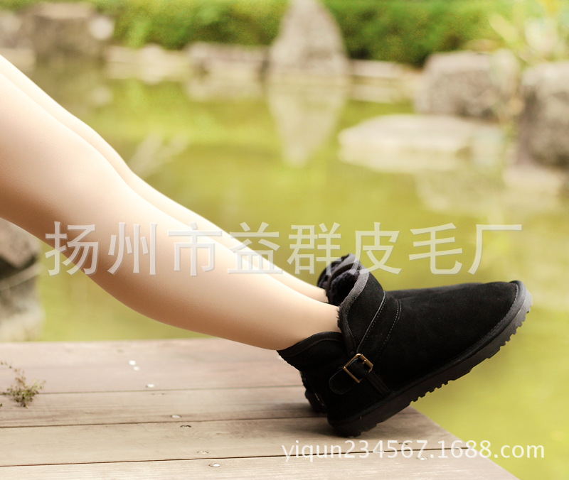 DPP_0022