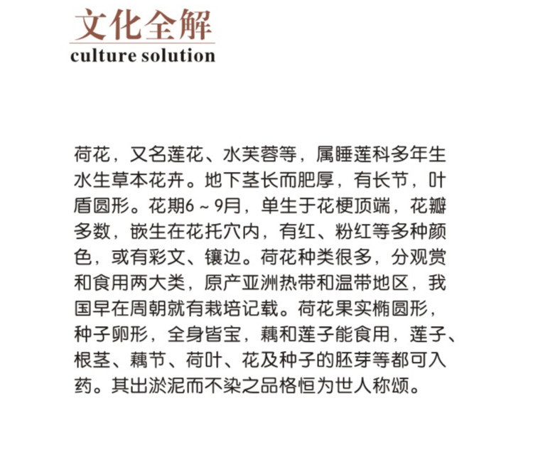 46詳情2