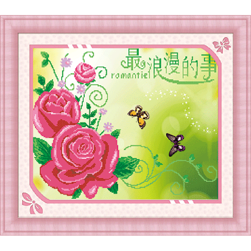 6D-6011 最浪漫的事