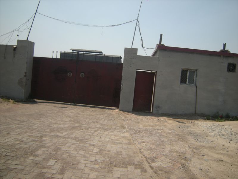 DSCN9010