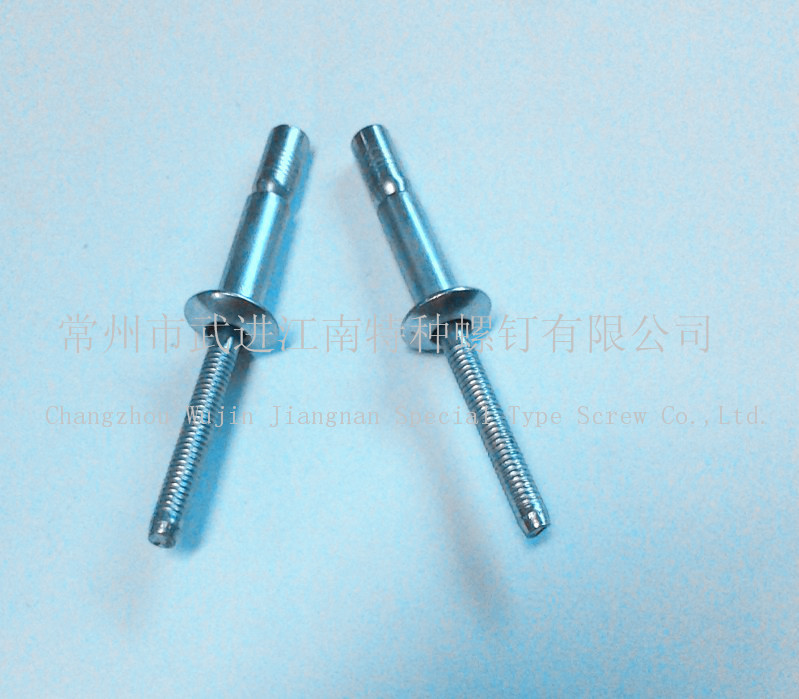 6.4x20拉丝铆钉