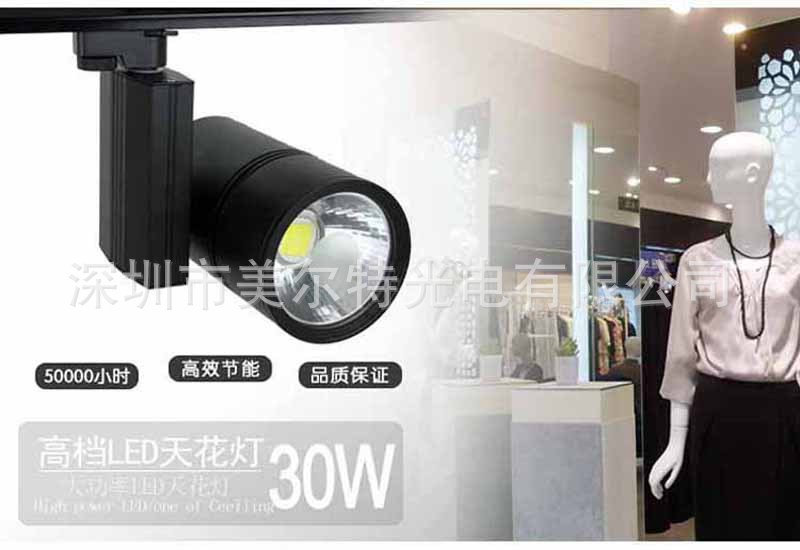 20W30wcob轨道灯