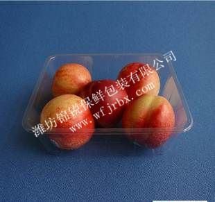 桃子_副本 - 副本