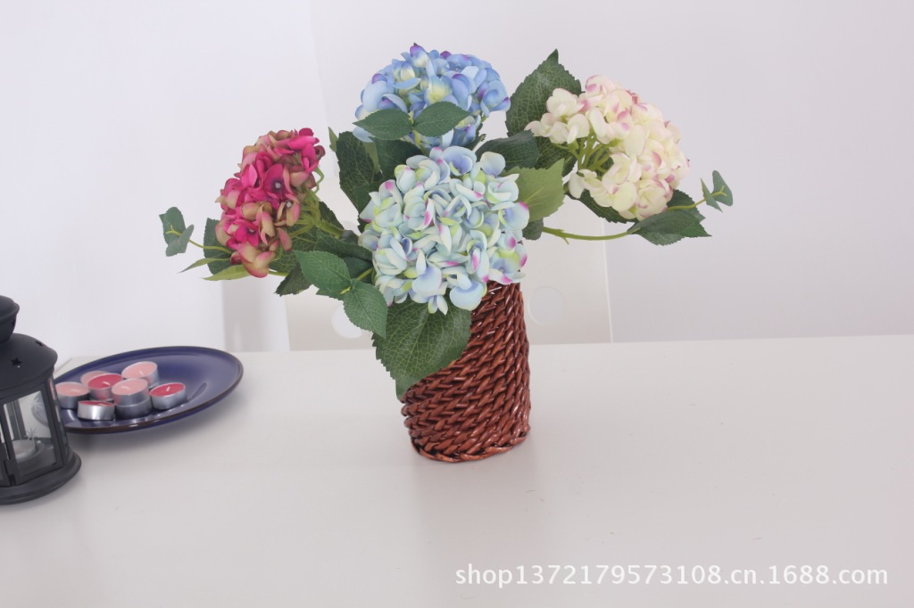 单枝两叉9叶小苞豆花绣球2(Hydrangea) SJB14