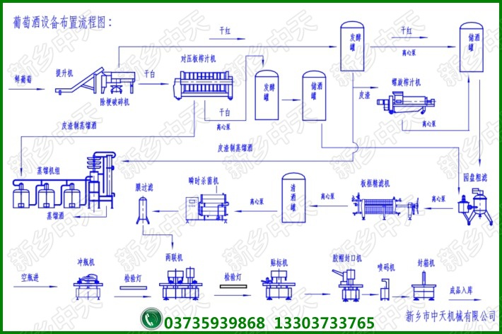 葡萄酒设备布置流程图（仅供参考）