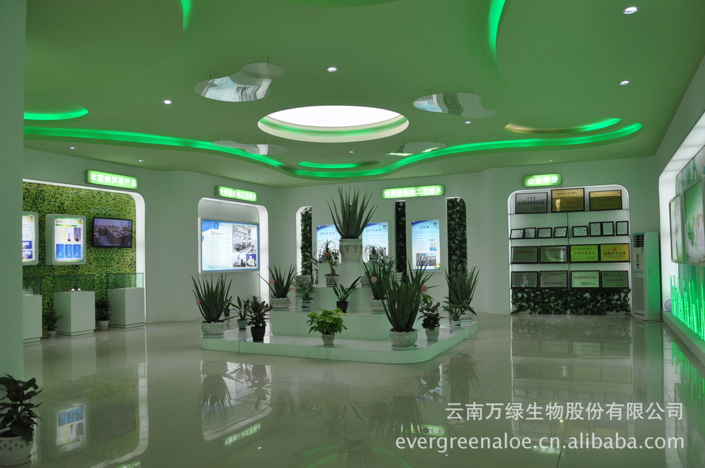 蘆薈膠囊 可貼牌生產(chǎn)銷(xiāo)售 植物提取物 保健品原料 蘆薈提取物