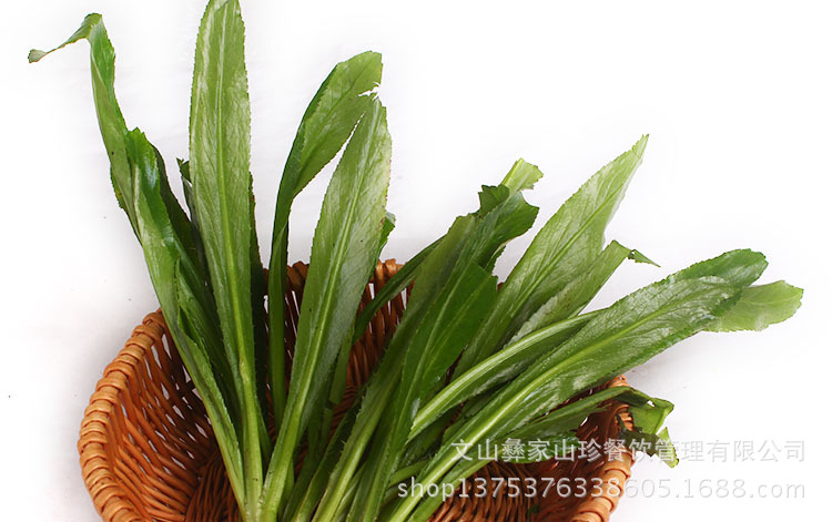 野生菜类-云南特产 绿色蔬菜批发 农产品批发 