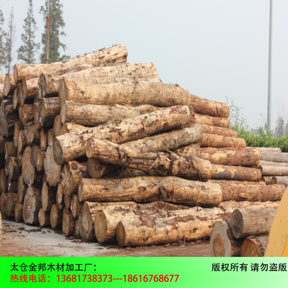 conew_conew_img_0675