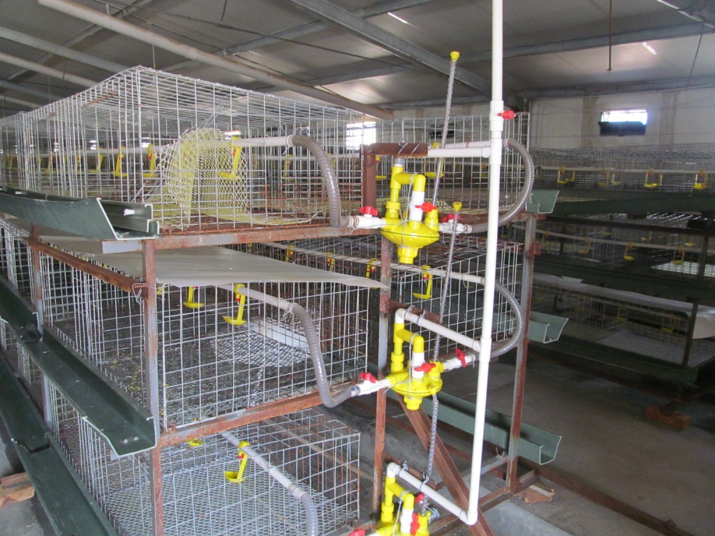 畜牧、养殖业机械-山西省肉鸡笼批发肉鸡笼价