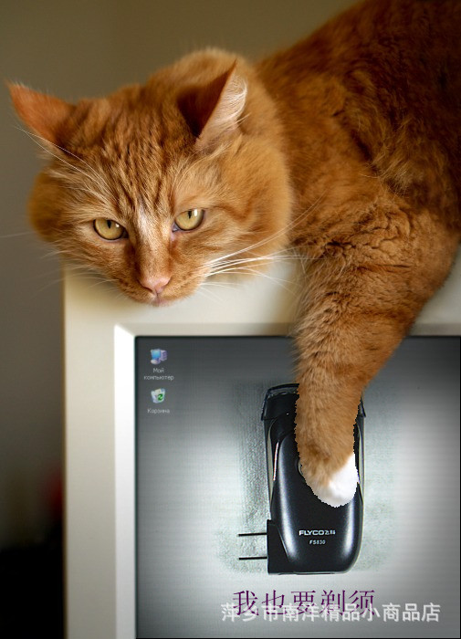 飛科剃須刀 021_副本