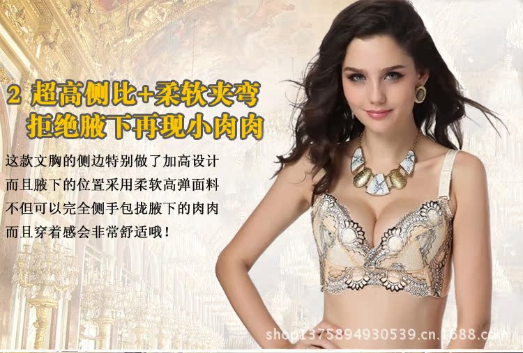【<em>调整型文胸热妒</em>同款无钢圈刺绣内衣四排扣肤