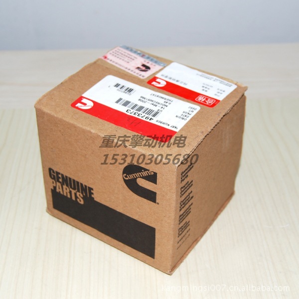 康明斯节温器 |Cummins 4973373