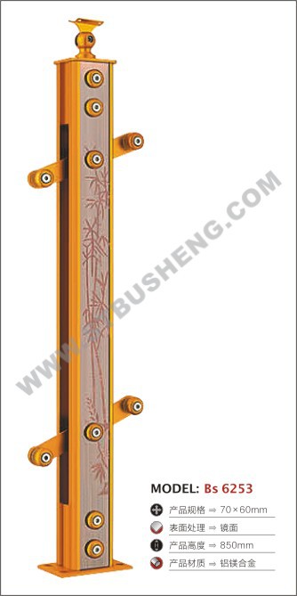 Bs 6253