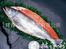 大马哈鱼是三文鱼吗_用马哈鱼冒充三文鱼?别闹了,你真的了解大马哈鱼吗?