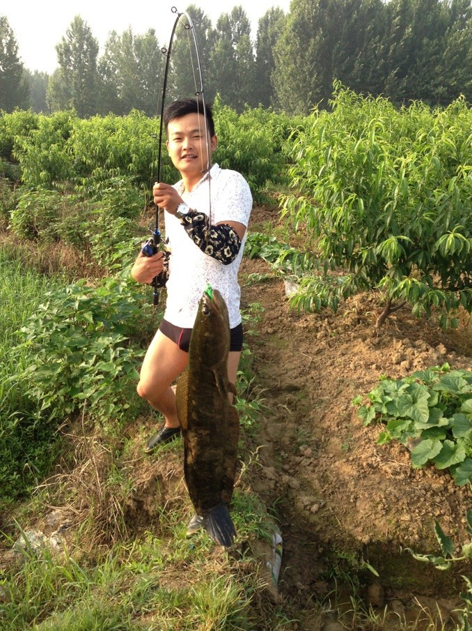 lucky seven 134克 土鲮钓饵图片,lucky seven 1