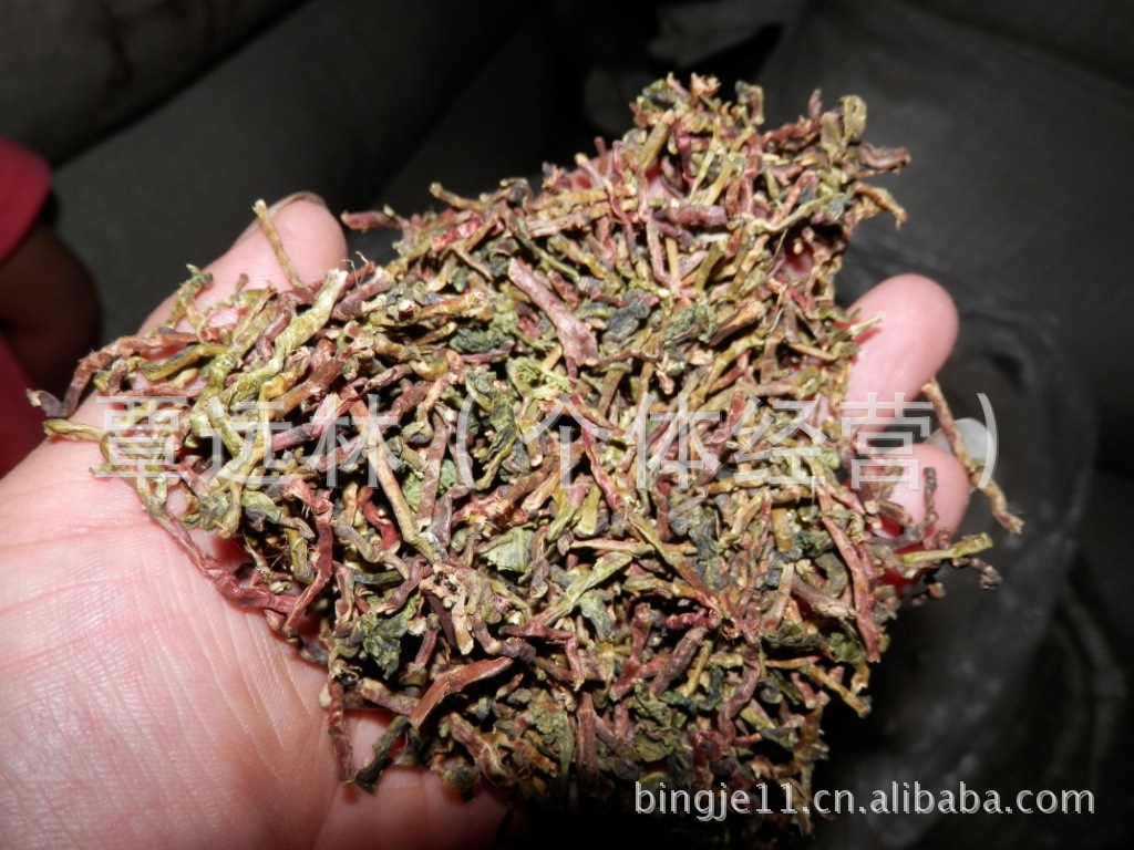 山蜜 山蜜草 花蜜草 长寿草 龙骨茶 干骨茶