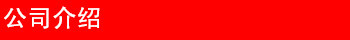 公司介绍