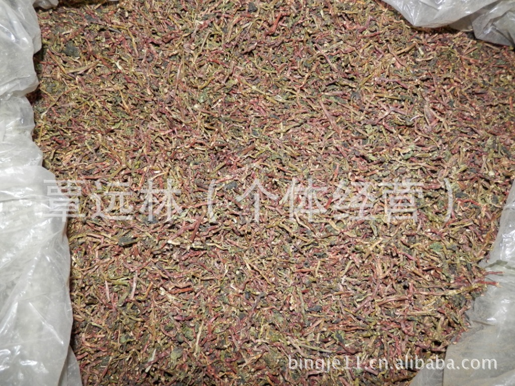 山蜜 山蜜草 花蜜草 长寿草 龙骨茶 干骨茶