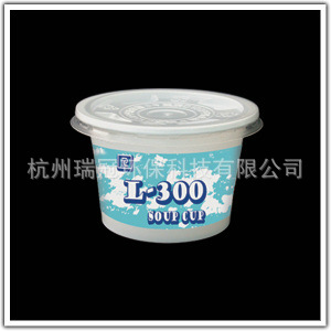 L-300