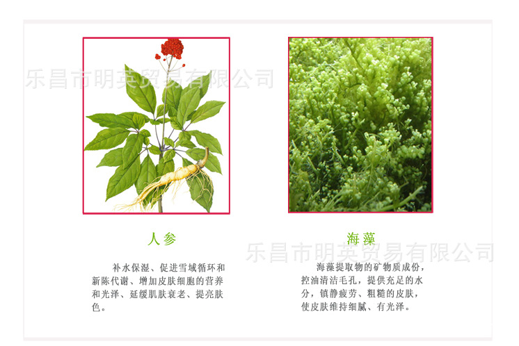 丁傢宜 面容一洗白洗面奶(美白控油)120g 潔面護膚去黑頭