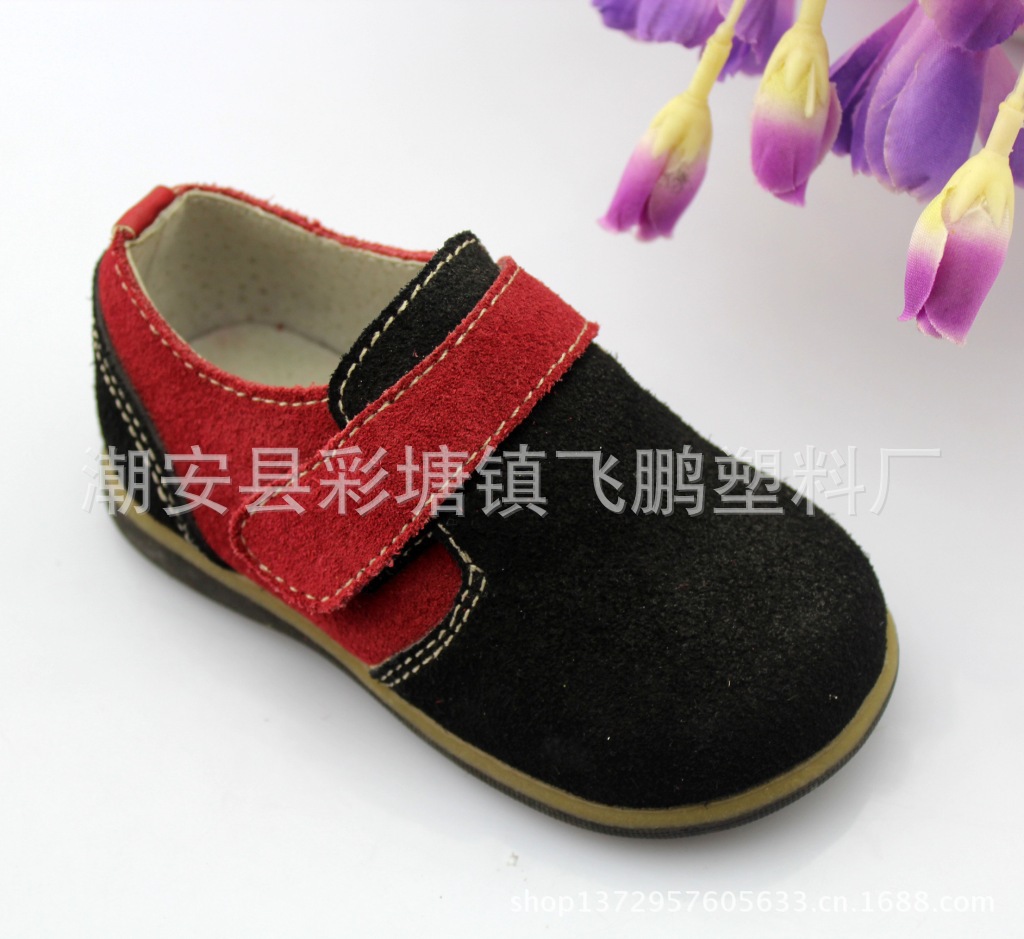 照片 2039