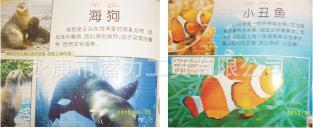 【幼儿儿童读物\/海洋动物\/看图片识别各种动物