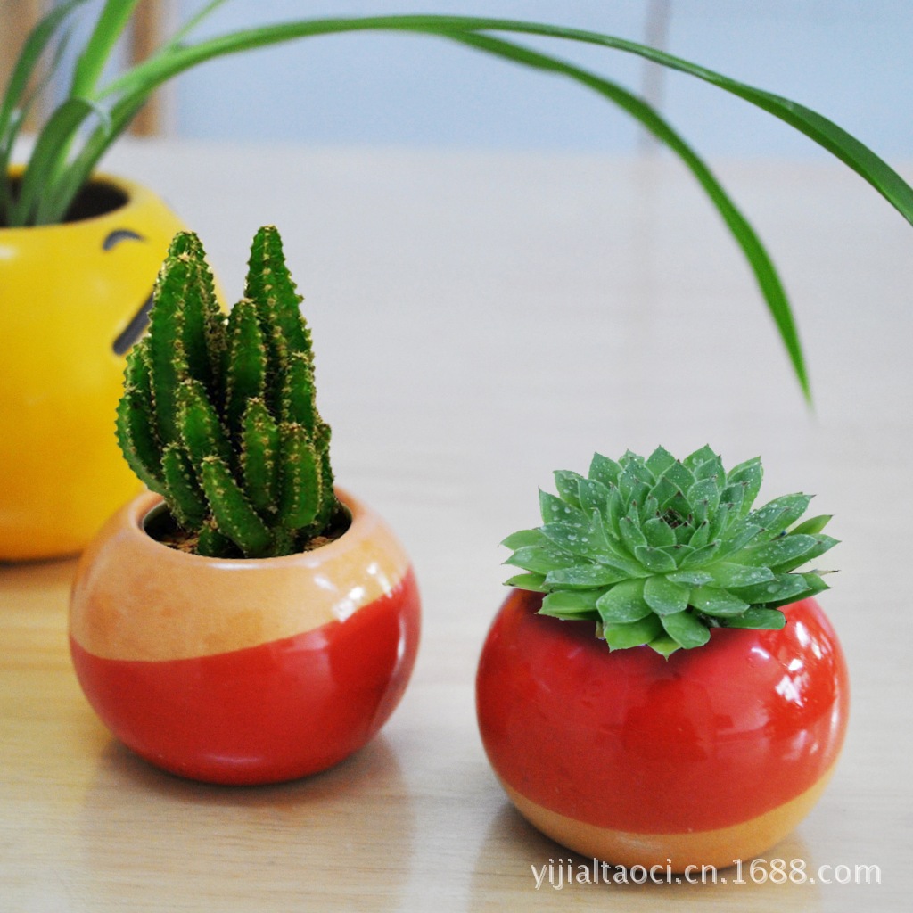 批发采购陶瓷工艺品-艺佳出品可爱卡通种植多