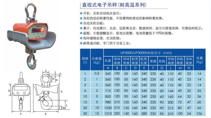 UP3000直视耐高温吊磅秤