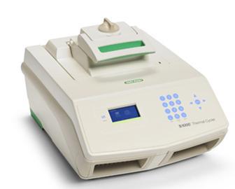 YYVIP易游湘守食安｜吃肉怕“李鬼”？“基因身份证”协助辨真伪