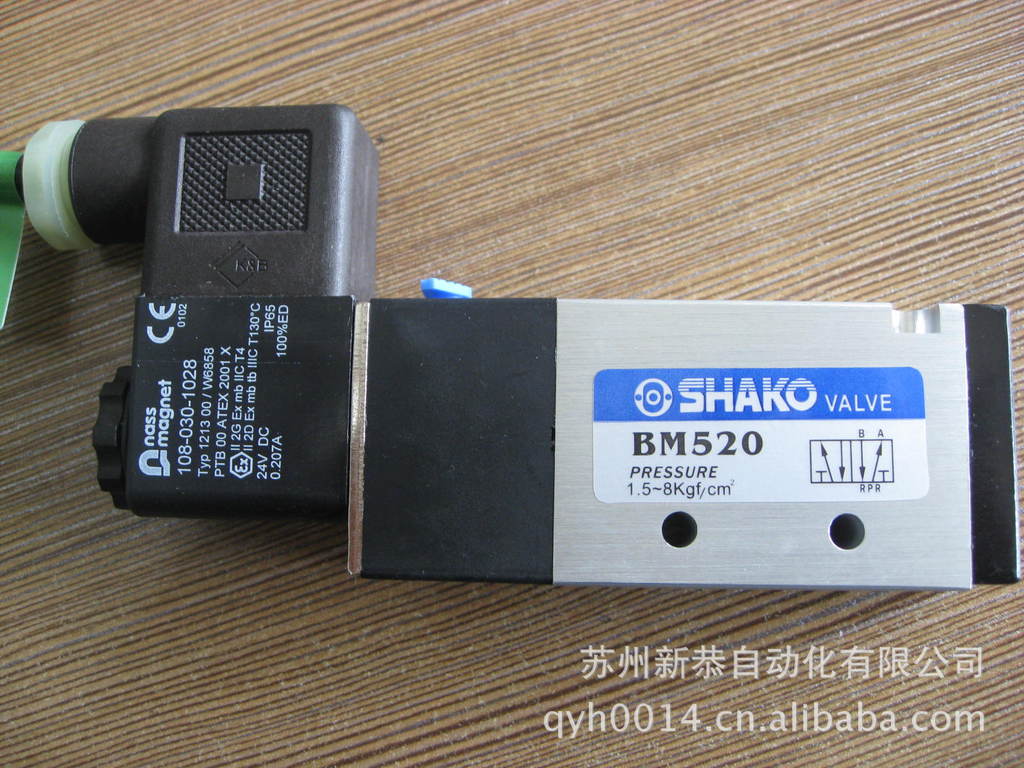 BM520-02S-24V-EX-1