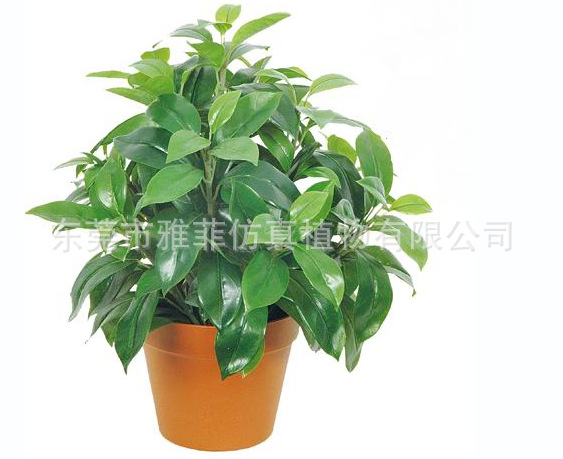 QQ截图20130717175540