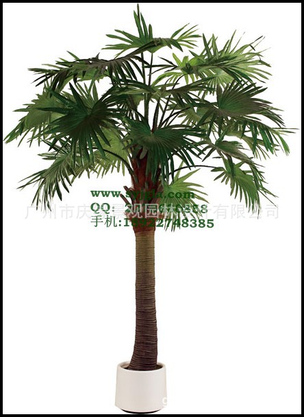 conew_280cm-单杆特大中扇葵