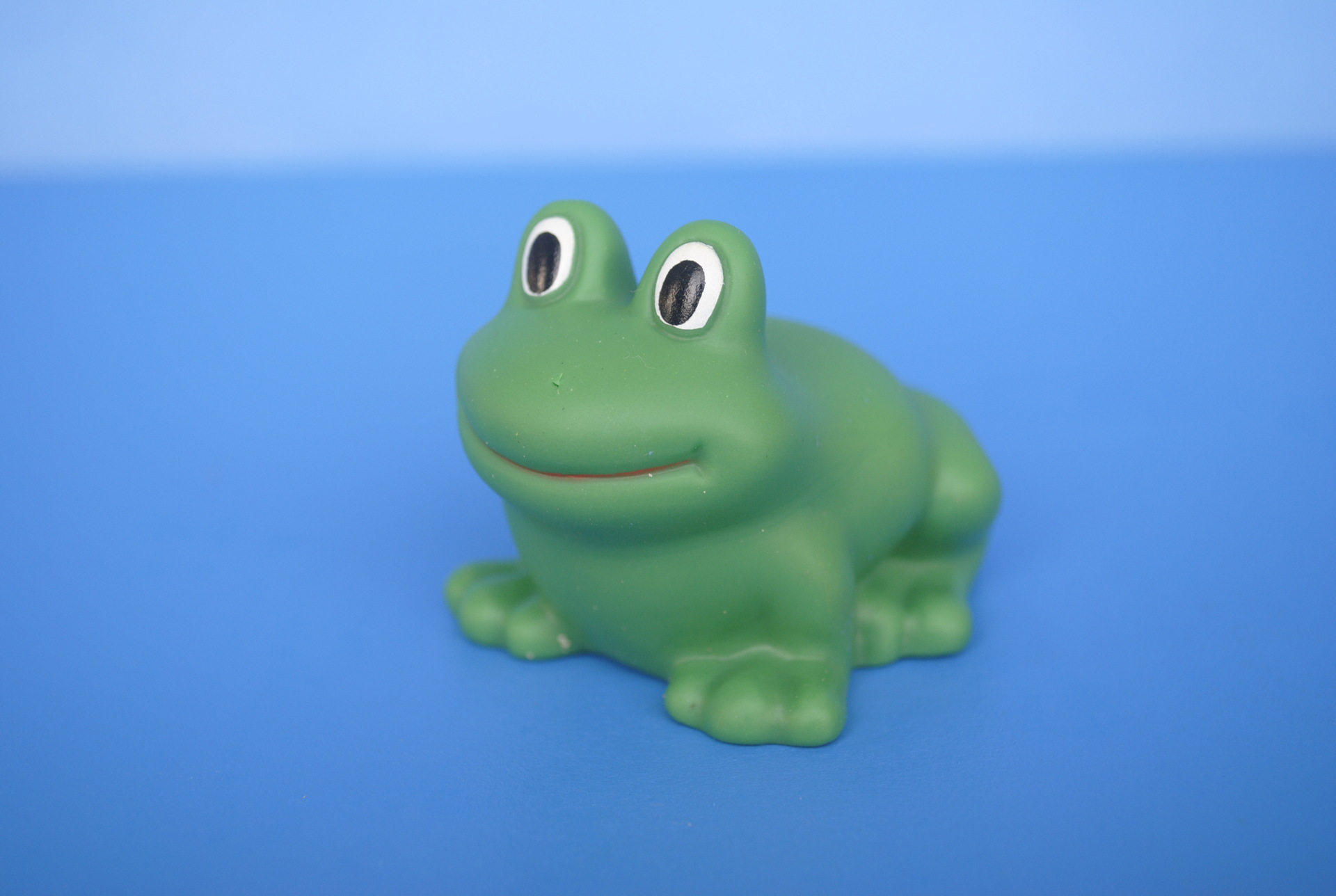 【宠物狗玩具新品发售 发声动物玩具 啃咬玩具