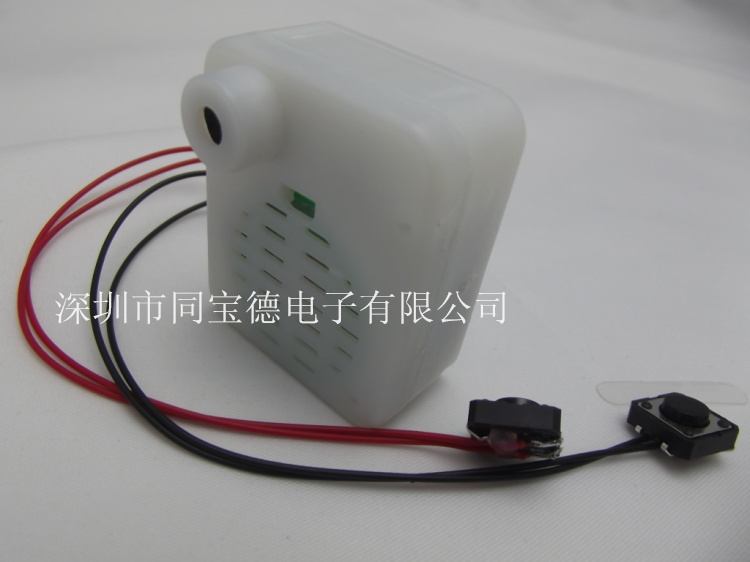 闪光玩具录音机芯
