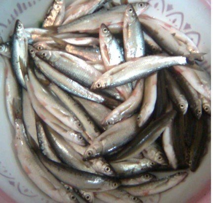 【泰宁特产淡水美味鱼200g野生鱼干 零售 、批