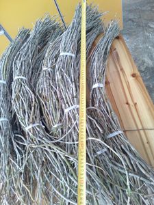 【云南种植石斛】云南种植石斛价格\/图片_云南