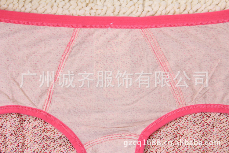 GS668 新款女士豹纹系列内裤批发 莫代尔大板型女式内裤.