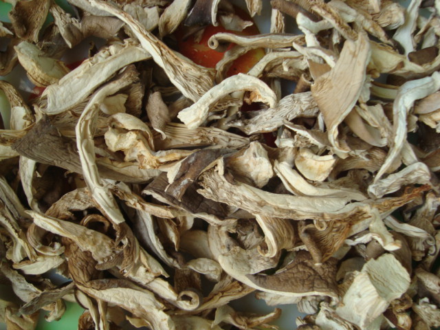批发干品平菇条统货鲍鱼菇平菇丝价格实在