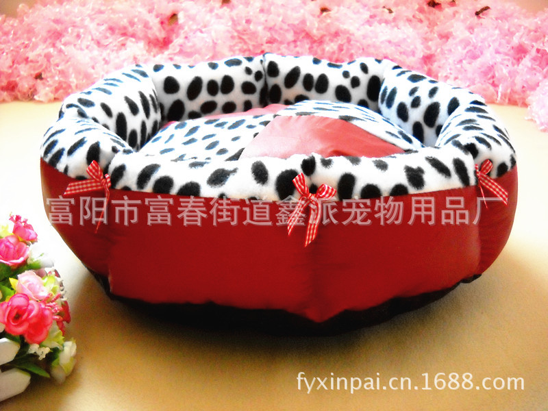 DSCN1719