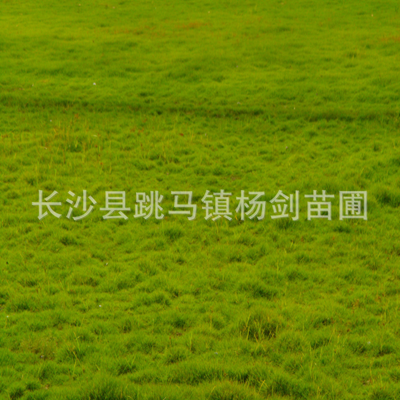 DSC01645_副本