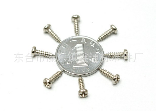 微型螺钉1