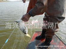 找同店商品-专捕小白条、鲢鱼网鱼渔网,铅坠,2